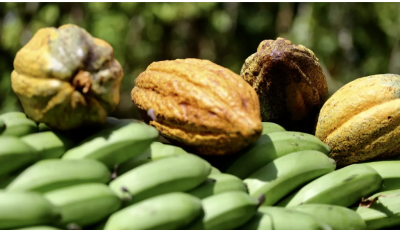 Embajadora Katja Afheldt resalta oportunidades de RD en productos orgánicos para Europa