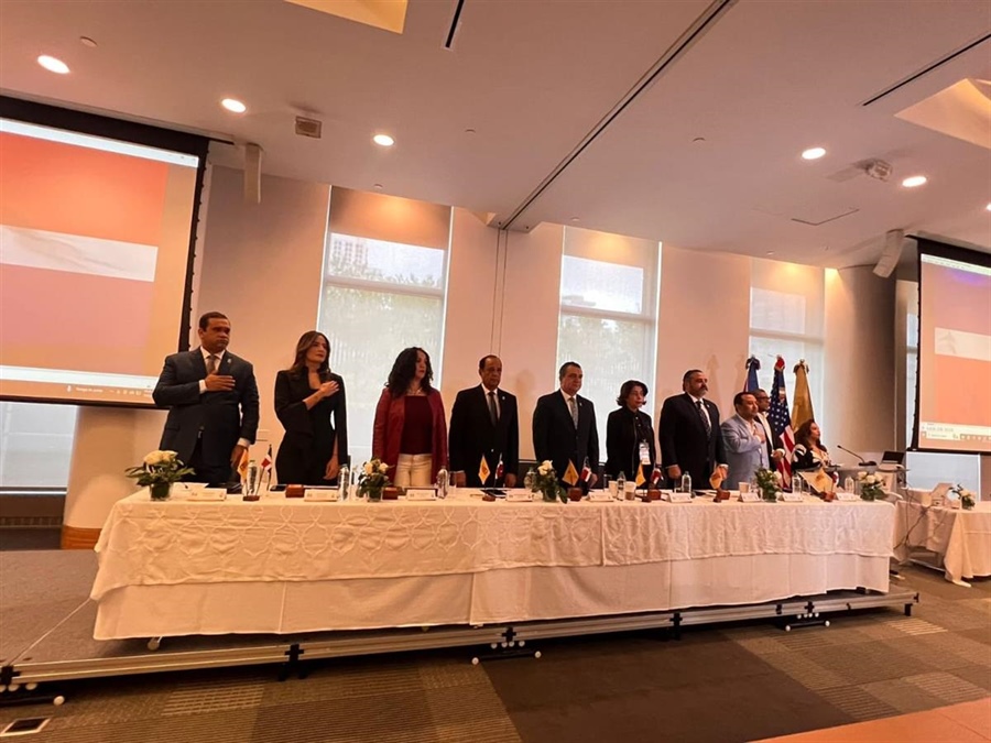 Presidente de la JCE llama a dominicanos de la diáspora a ejercer el sufragio Presidente de la JCE llama a dominicanos de la diáspora a ejercer el sufragio