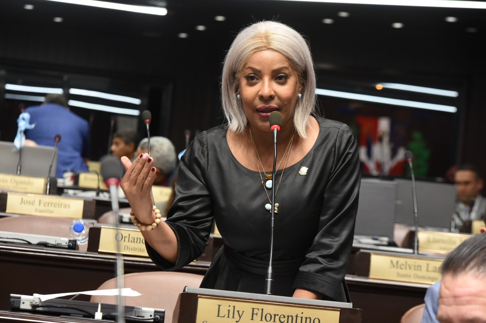 Lily Florentino destaca su labor como diputada de ultramar Europa