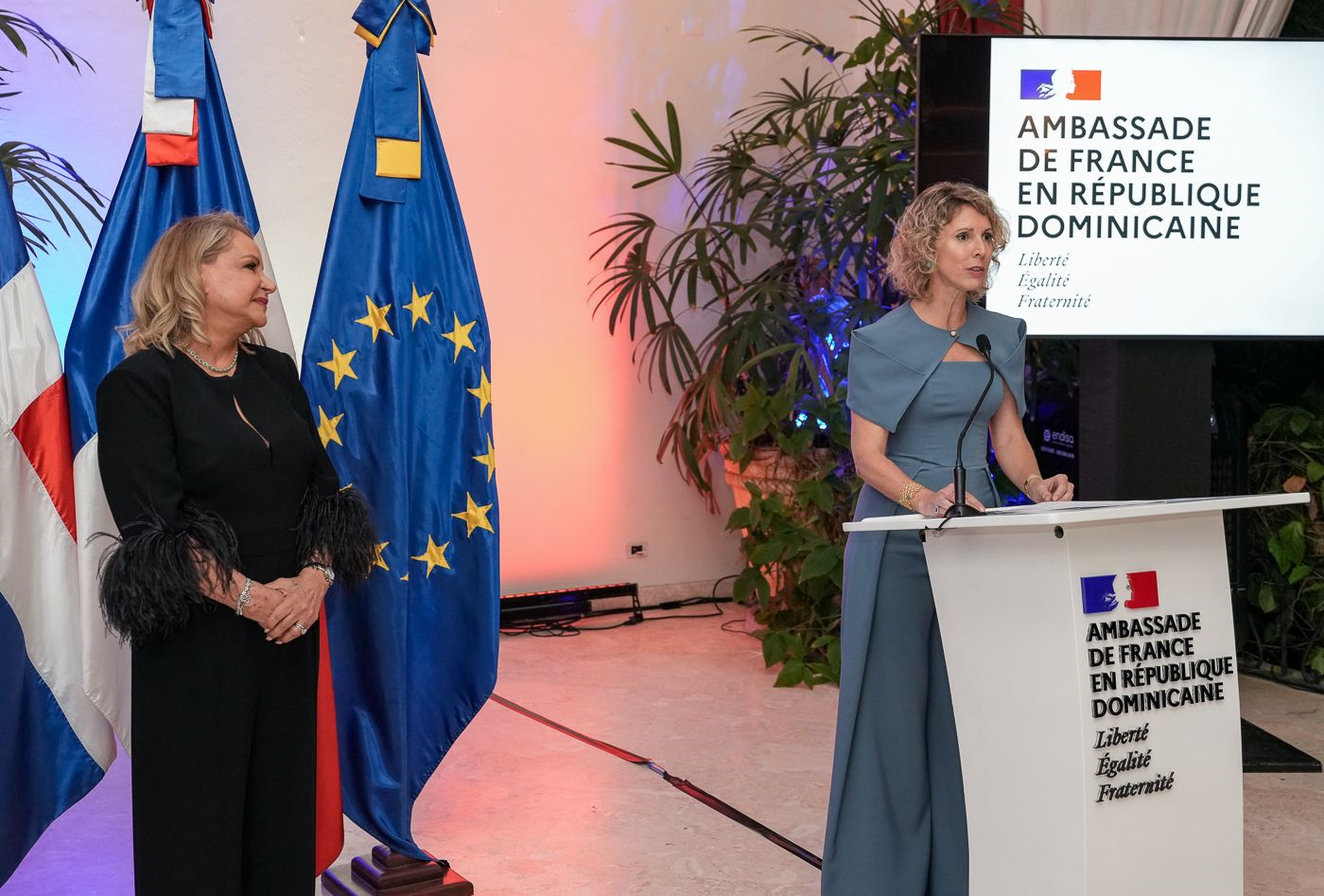 Francia condecora a embajadora Rosa Hernández de Grullón