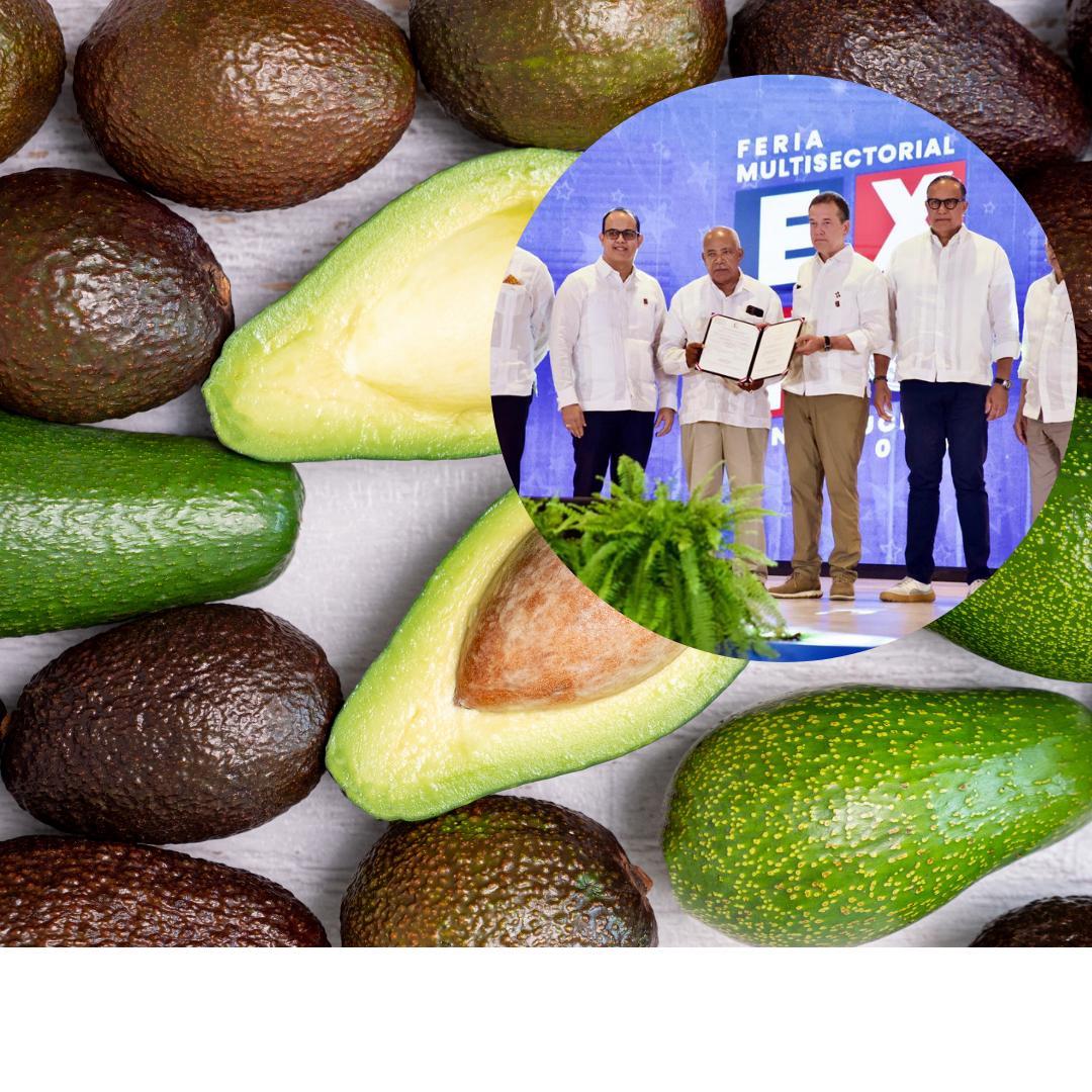 MICM y ODAC entregan acreditación internacional al Clúster del Aguacate de Cambita durante Expo Constitución 2025