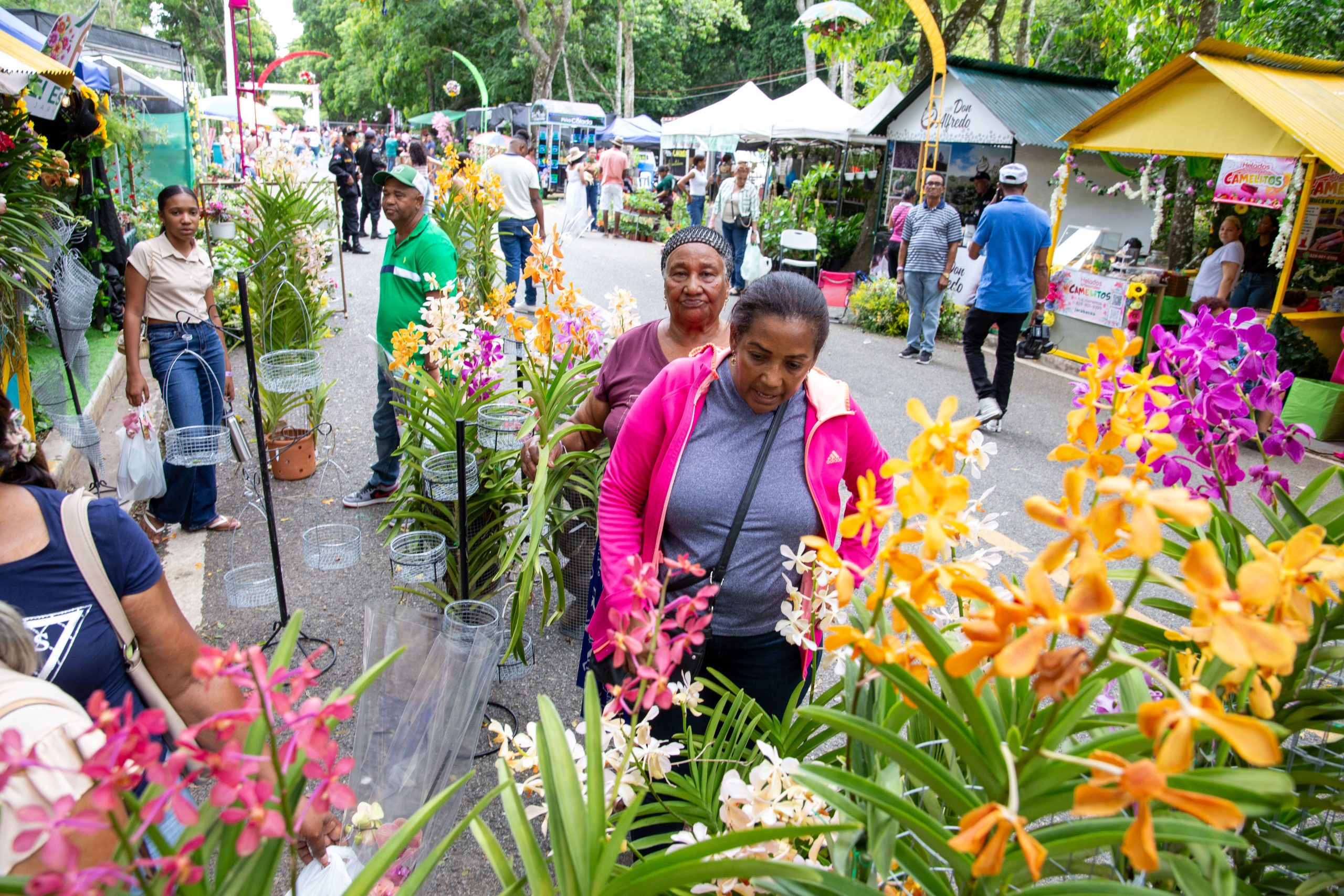 Festival de las Flores de Jarabacoa celebra su edición 15 con Colombia como país invitado
