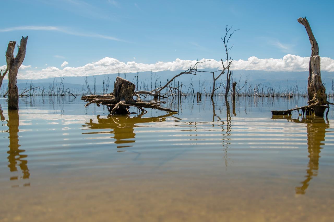 Lagos y lagunas, tesoros de agua que sostienen la vida RD