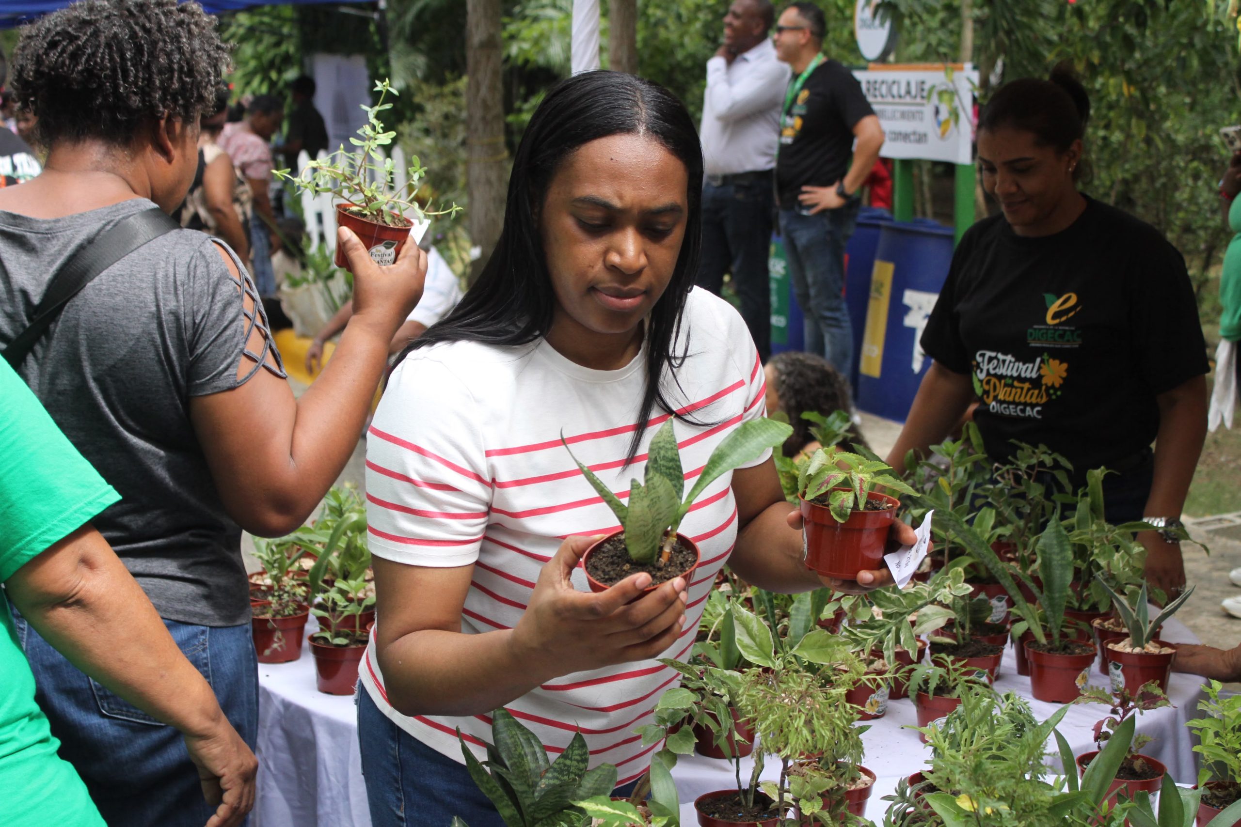 Más de 12 mil personas visitaron el Primer Festival de Plantas de la DIGECAC Más de 12 mil personas visitaron el Primer Festival de Plantas de la DIGECAC