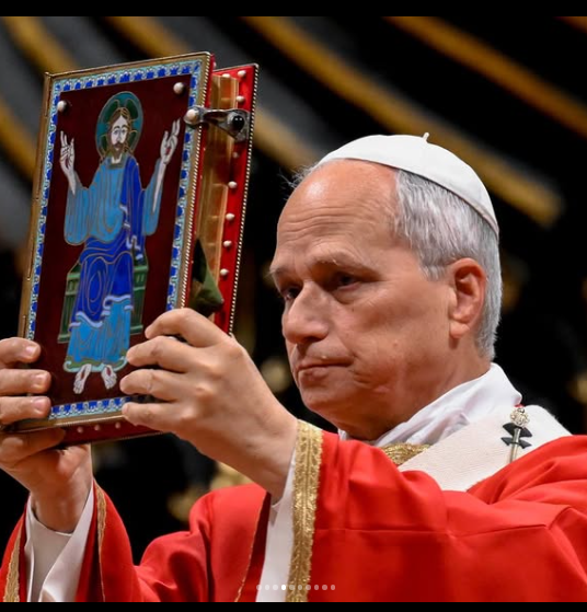 El papa León XIV no necesitará más tratamiento tras extirpársele un cáncer de pulmón El papa León XIV no necesitará más tratamiento tras extirpársele un cáncer de pulmón